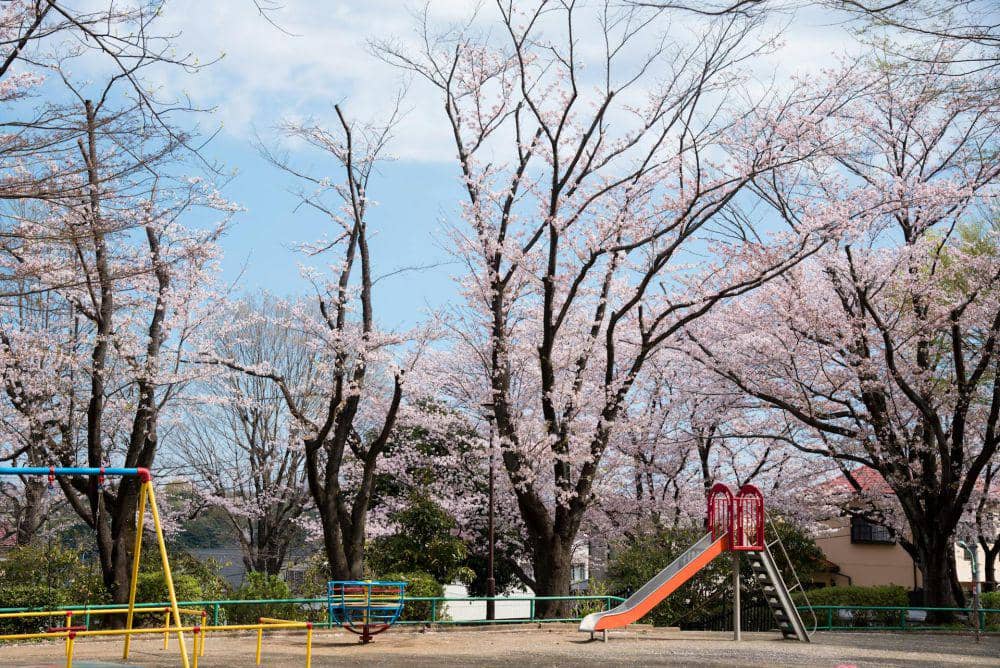 5 Playground Paling Seru di Surabaya, Bikin Anak Betah Main di Sini