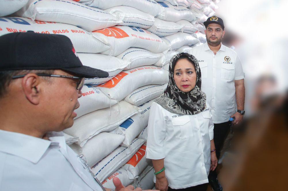 Stok Beras Melimpah, DPR Minta Pemerintah Hati-Hati Rencanakan Ekspor