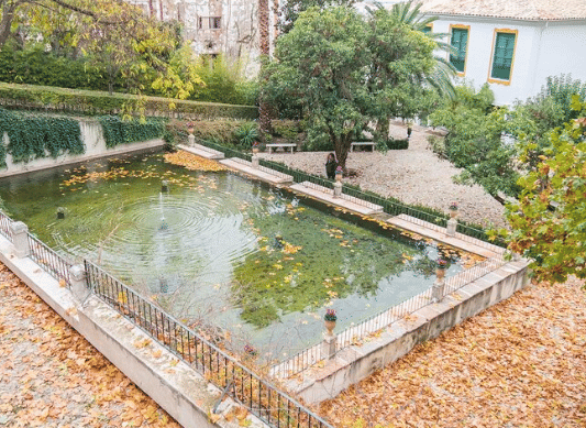 ilustrasi kolam (freepik.com/eyeem