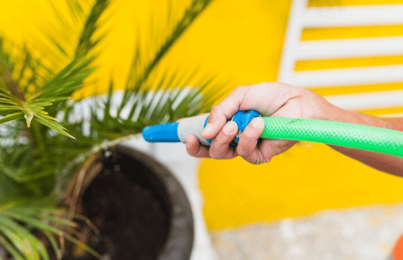 ilustrasi semprot tanaman (freepik.com/eyeem