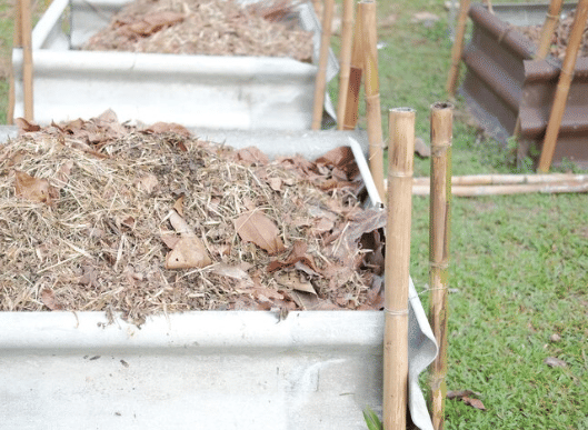 ilustrasi Komposter tanaman (freepik.com/eyeem