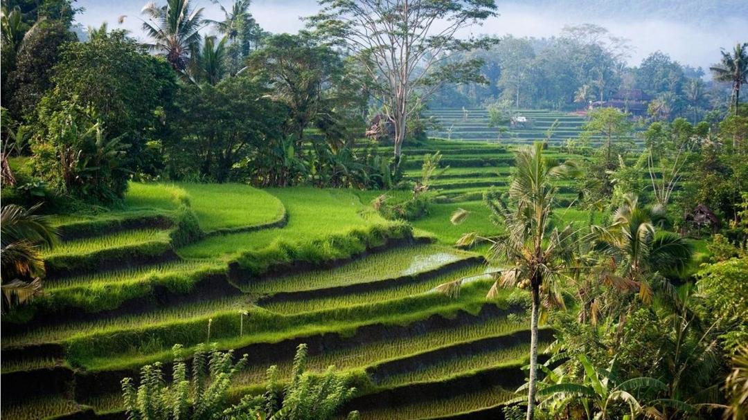 http://cdn.idntimes.com/content-images/post/20151016/6983060-beautiful-indonesia-nature-photos.jpg