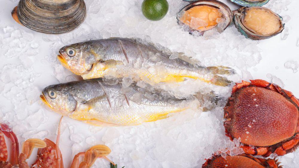ilustrasi ikan beku (pexels.com/Change C.C)