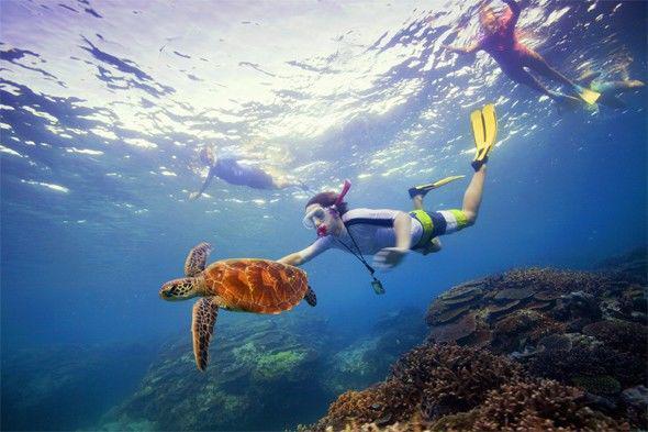 http://cdn.idntimes.com/content-images/post/20151019/great-barrier-reef---tourism-australia-1352027874.jpg