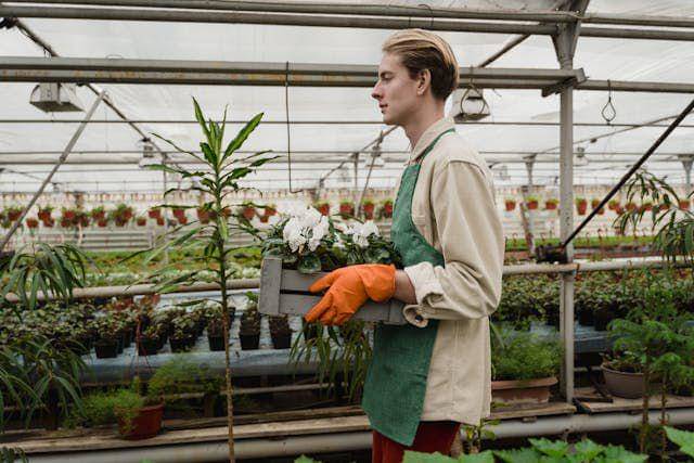 ilustrasi menanam tanaman hias (pexels.com/Tima Miroshnichenko)