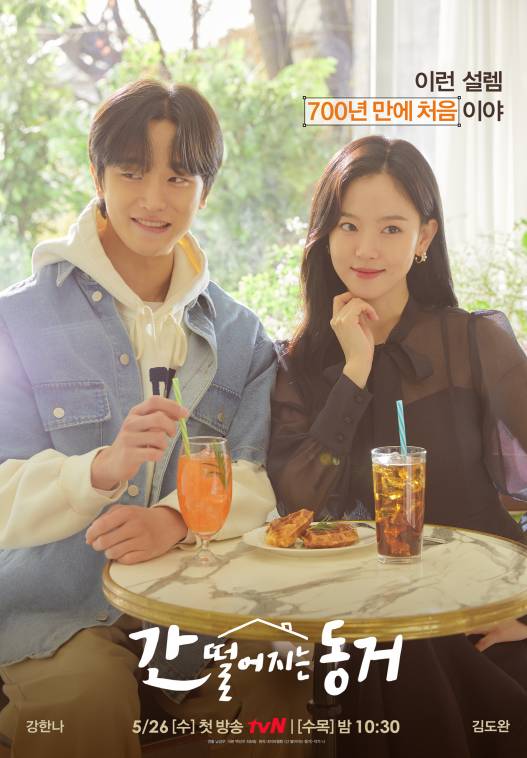 poster drama My Rommates Is A Gumiho (dok. tvN/My Rommates Is A Gumiho)
