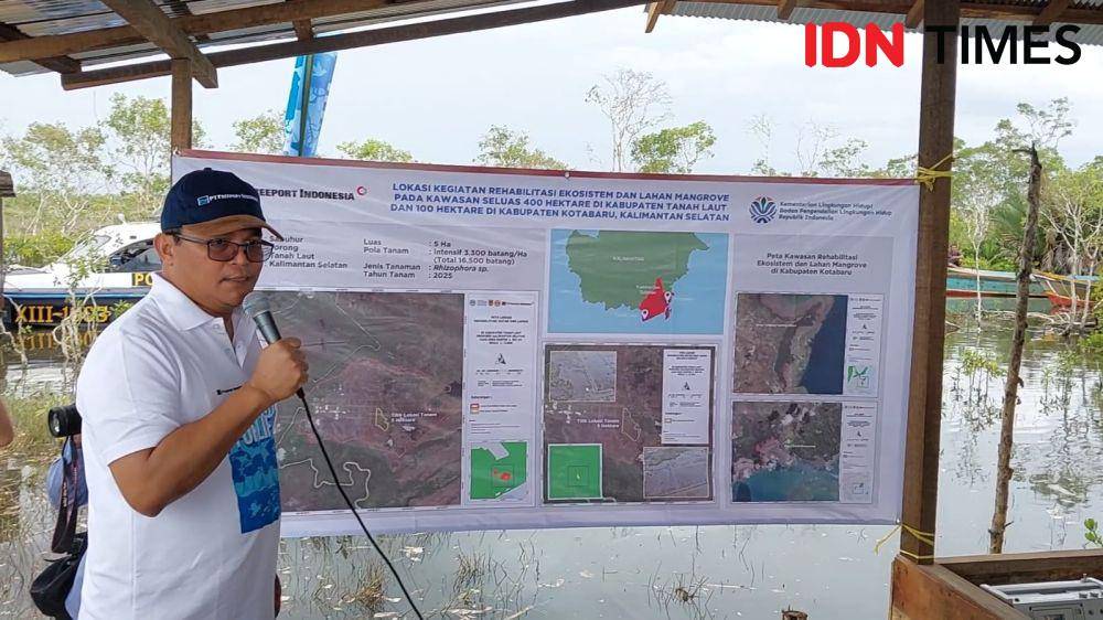 PT Freeport menargetkan 10 ribu hektare rehabilitasi mangrove di Indonesia. (Hendra Lianor/IDN Times)