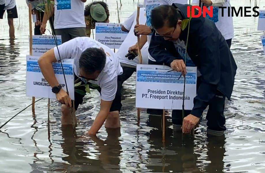Penanaman bibit mangrove di Desa Sabuhur, Kabupaten Tanah Laut, Kalimantan Selatan, Senin (2/6/2025). (Hendra Lianor/IDN Times)