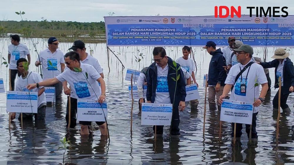 Gerakan Hijau! Freeport dan KLHK Mulai Rehabilitasi Mangrove di Kalsel