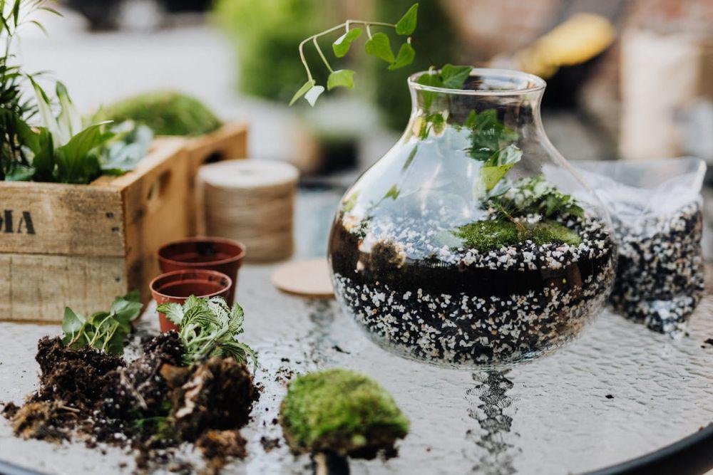7 Tips Menciptakan Mini Garden di Area Ruang Tamu, Terlihat Elegan!