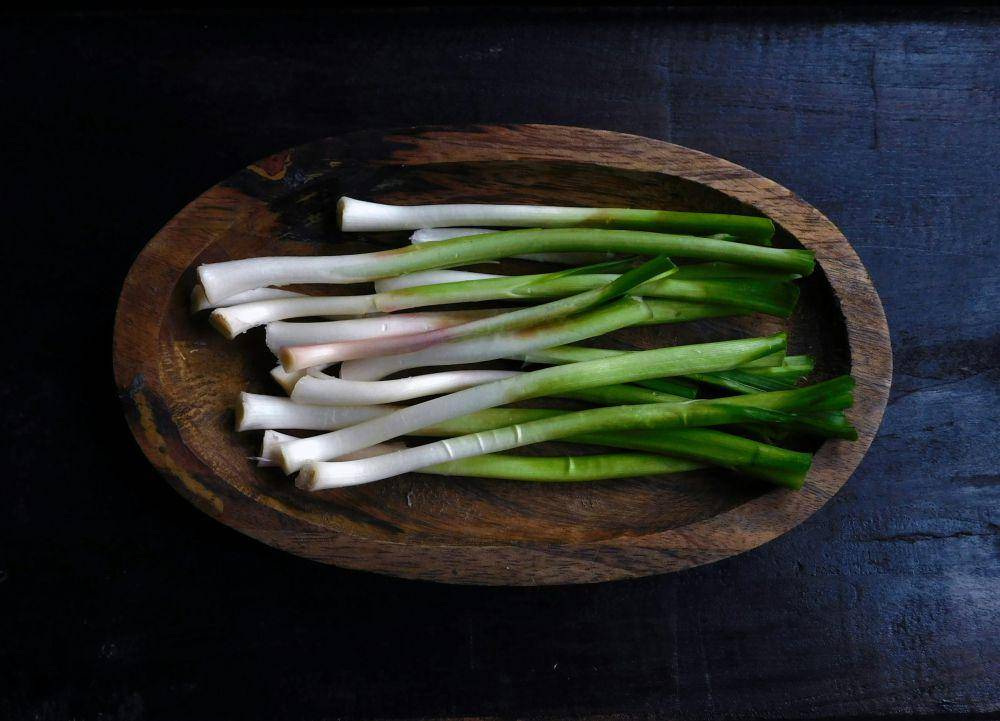 Potret daun bawang