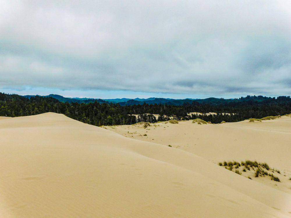 Oregon National Dunes (unsplash.com/Peter Robbins)