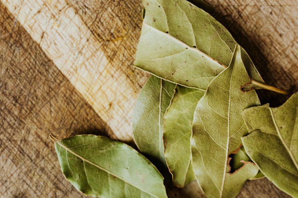 Ilustrasi daun salam (pexels.com/Photo By: Kaboompics.com)