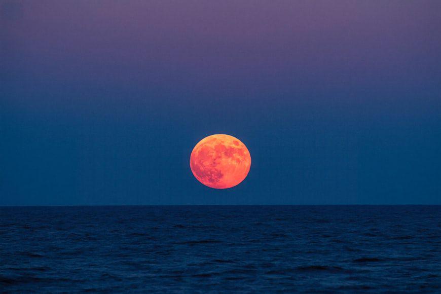 Kapan Puncak Strawberry Moon 2025? Ini Jadwal dan Cara Menyaksikannya