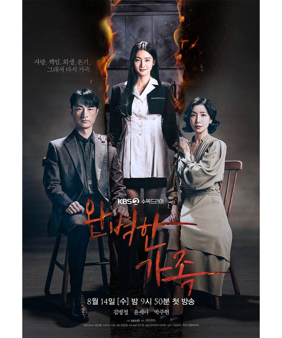 poster drama Perfect Family (dok. KBS2/Perfect Family)