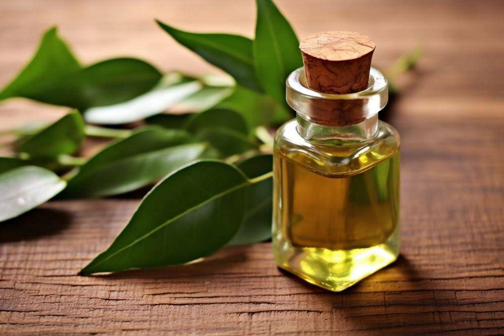 ilustrasi tea tree oil (vecteezy.com/Md Abdur Rahim)