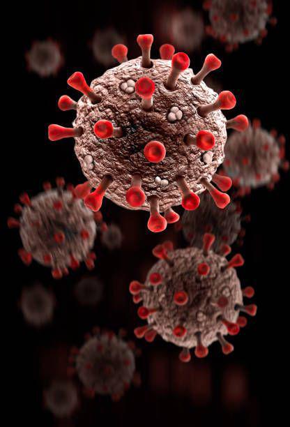 Virus Covid-19 (https://pin.it/2v2iZiQ27)