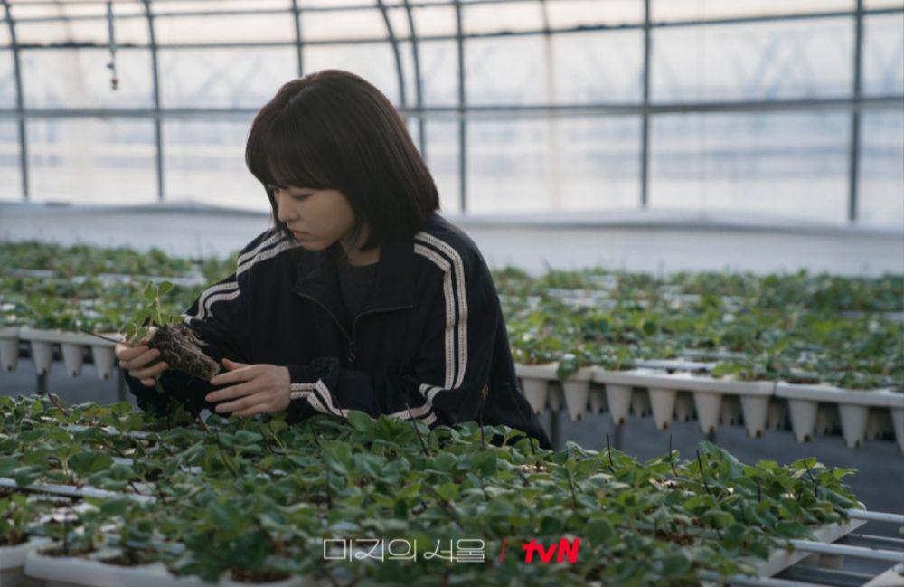 7 Keuntungan Menjadi Petani Bagi Yu Mi Rae di Our Unwritten Seoul