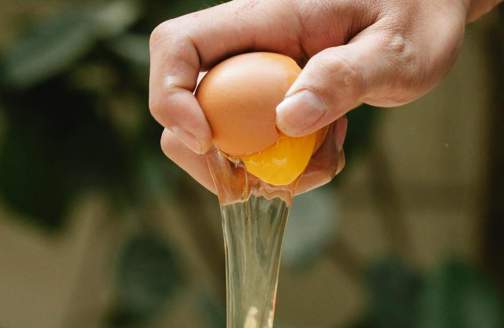 Ilustrasi telur (pexels.com/Klaus Nielsen)