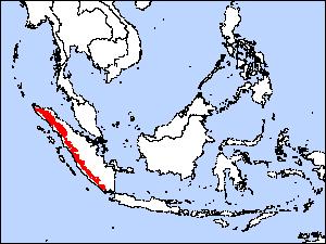 ilustrasi peta persebaran paok delima (commons.wikimedia.org/Andrew69.)