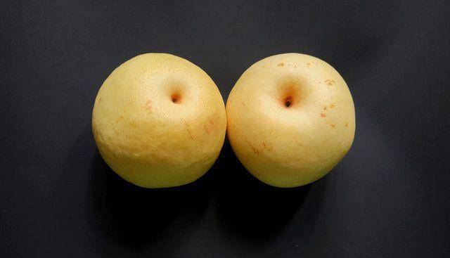 Pir (Vecteezy.com/miftachul huda)