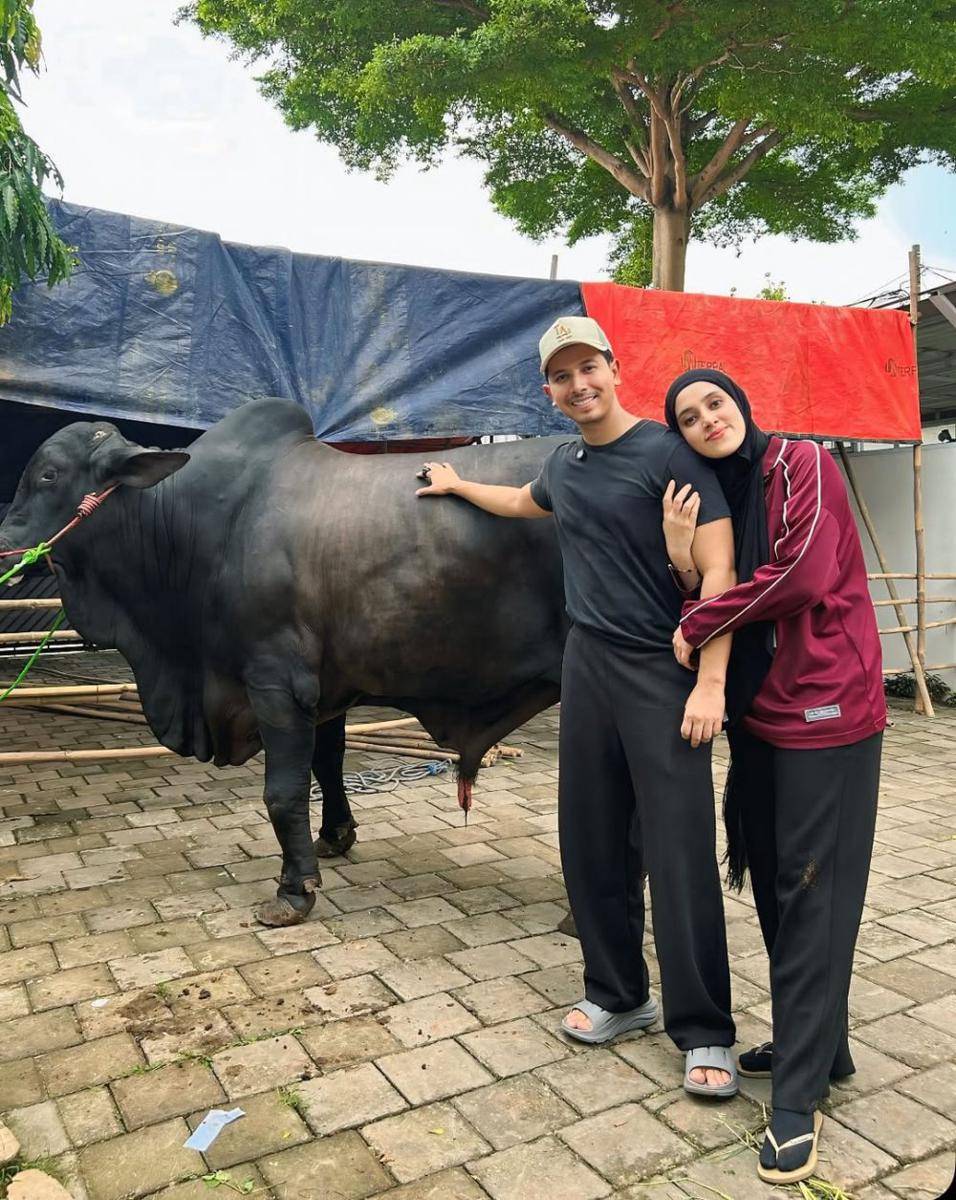 sapi kurban Sonny dan Fairuz dari Raffi Ahmad (instagram.com/sonnyseptian)