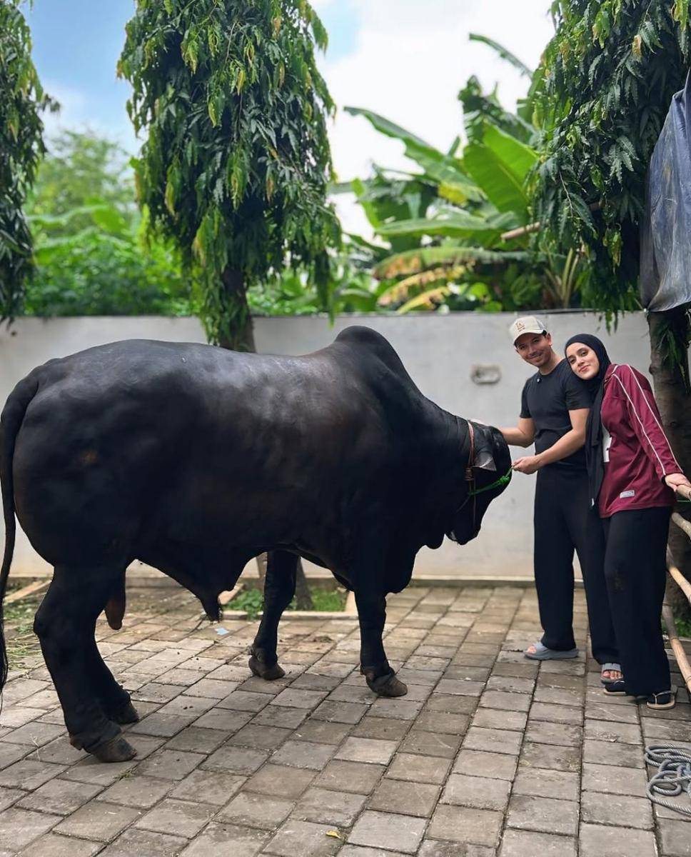 sapi kurban Sonny dan Fairuz dari Raffi Ahmad (instagram.com/sonnyseptian)