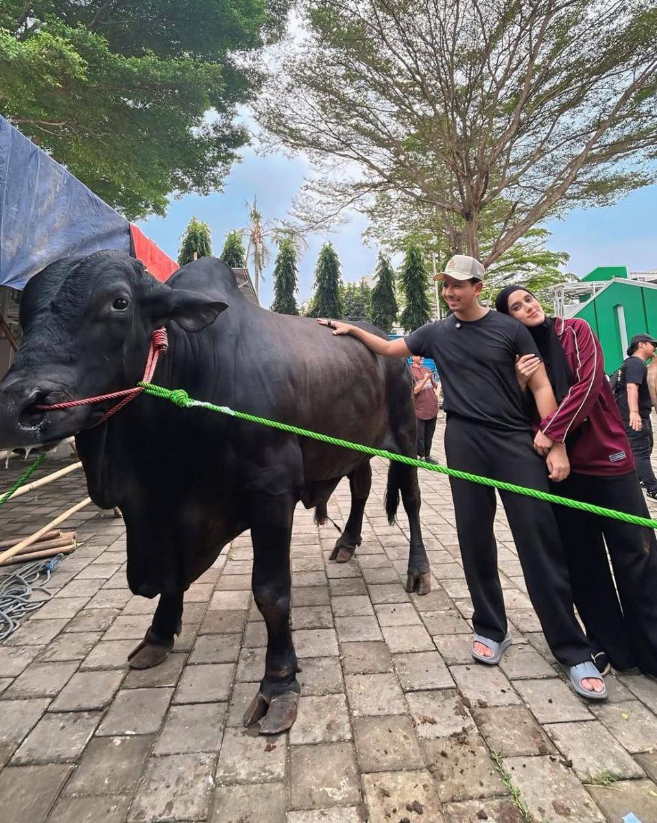 sapi kurban Sonny dan Fairuz dari Raffi Ahmad (instagram.com/sonnyseptian)
