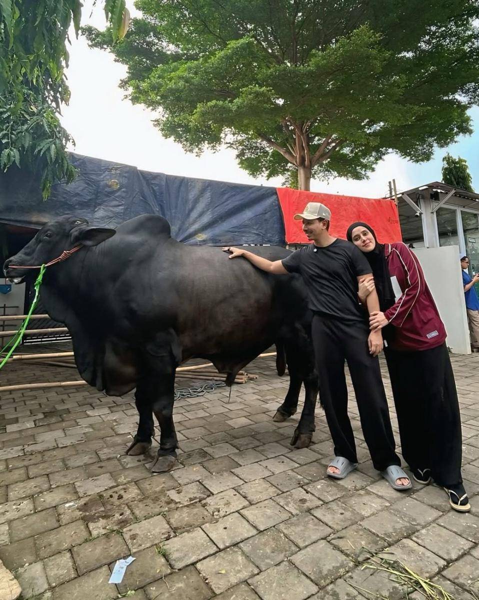 sapi kurban Sonny dan Fairuz dari Raffi Ahmad (instagram.com/sonnyseptian)