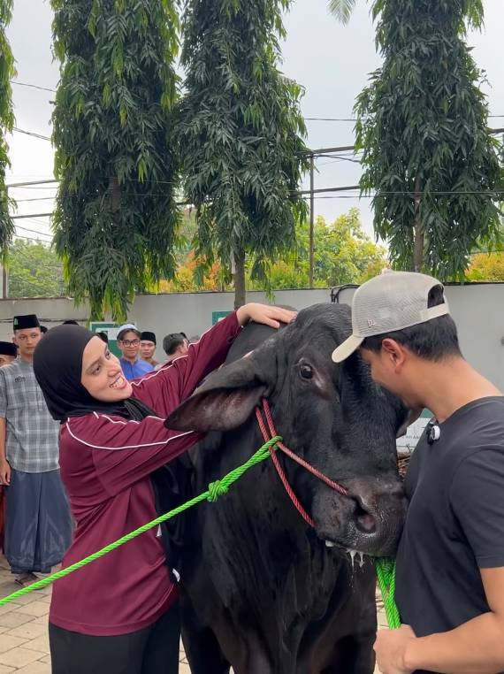 kondisi Fairuz A Rafiq terinjak sapi kurban (instagram.com/sonnyseptian)