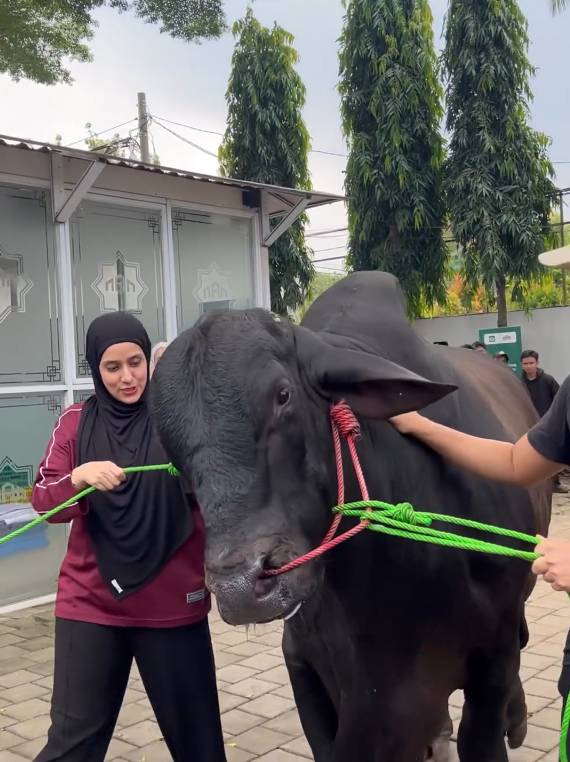 kondisi Fairuz A Rafiq terinjak sapi kurban (instagram.com/sonnyseptian)