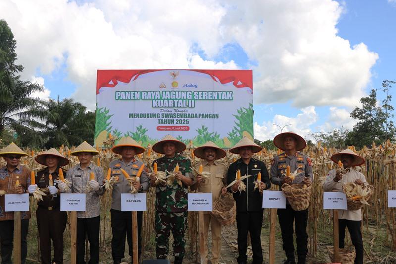 Dukung Swasembada Pangan, Polri Panen Jagung di 43,5 Hektare Lahan Kaltim