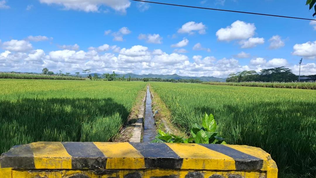 Lahan Pertanian di Kota Malang Kian Menyusut