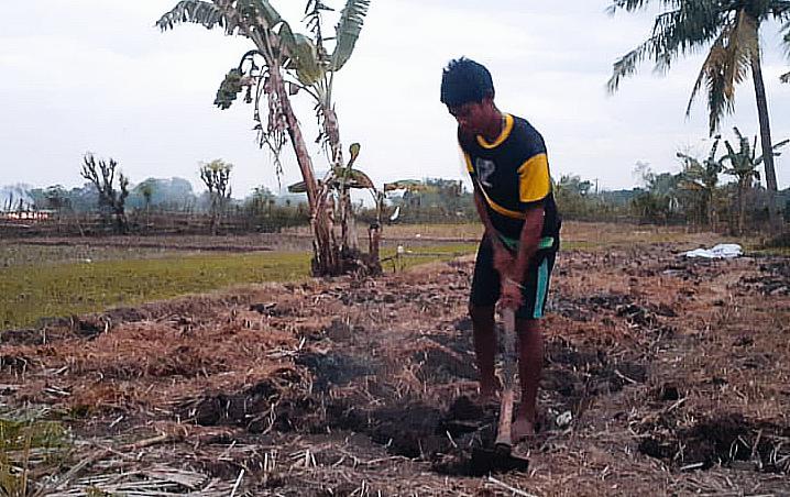 Goresan Cangkul di Tanah NTT: Kisah Mahasiswa yang Tak Malu Jadi Petani