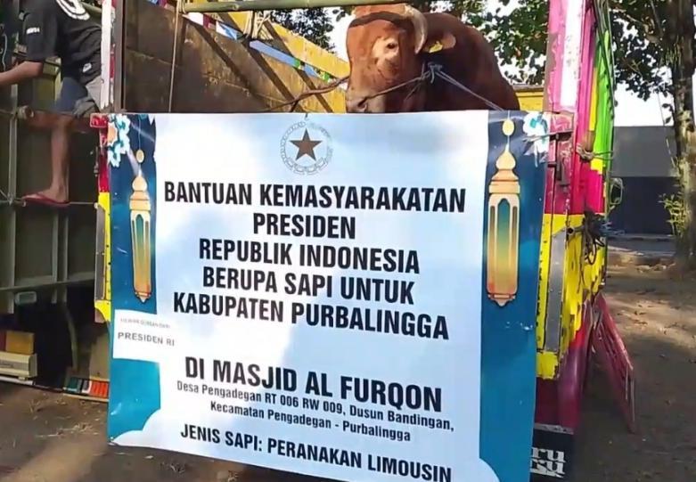 Warga di Purbalingga Gembira, Dapat Sapi Kurban Kedoya dari Presiden Prabowo