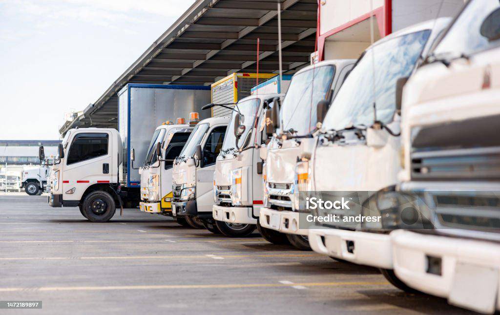 istockphoto-1472189897-1024x1024.jpg