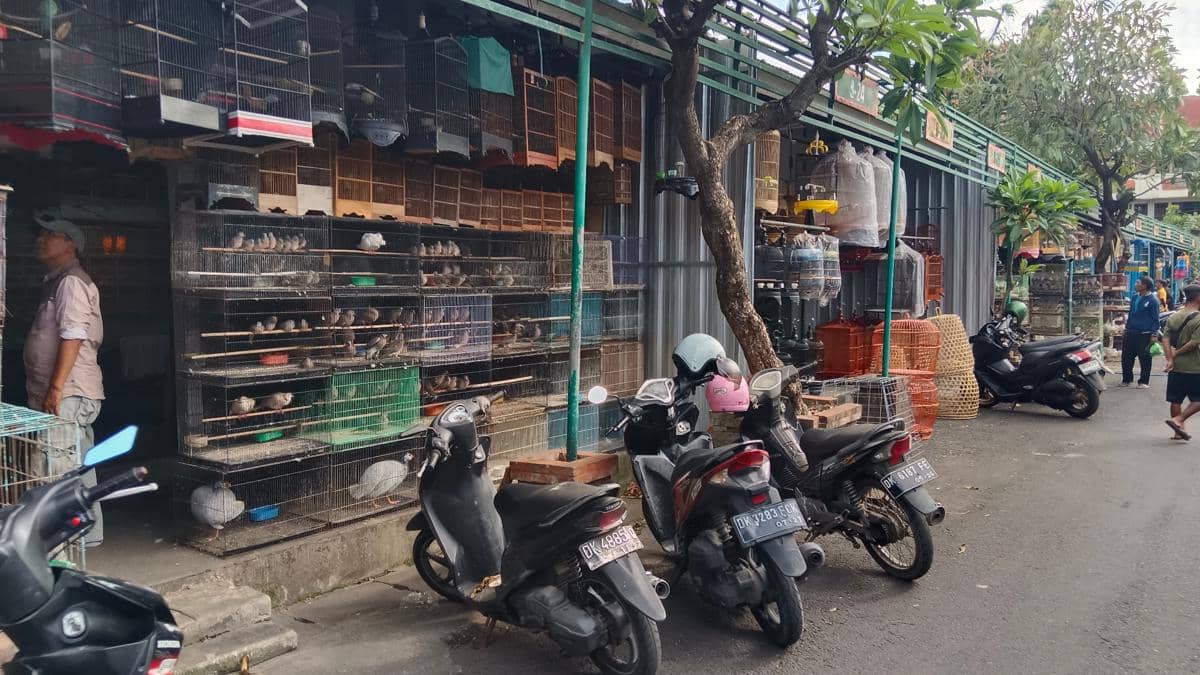 Pasar burung