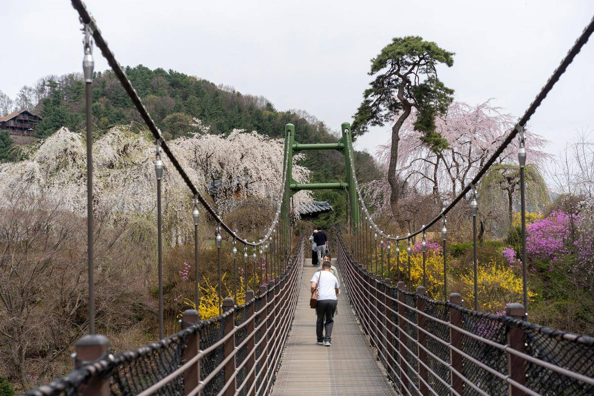 Gapyeong, Korea Selatan (unsplash.com/Kelsey Dody)