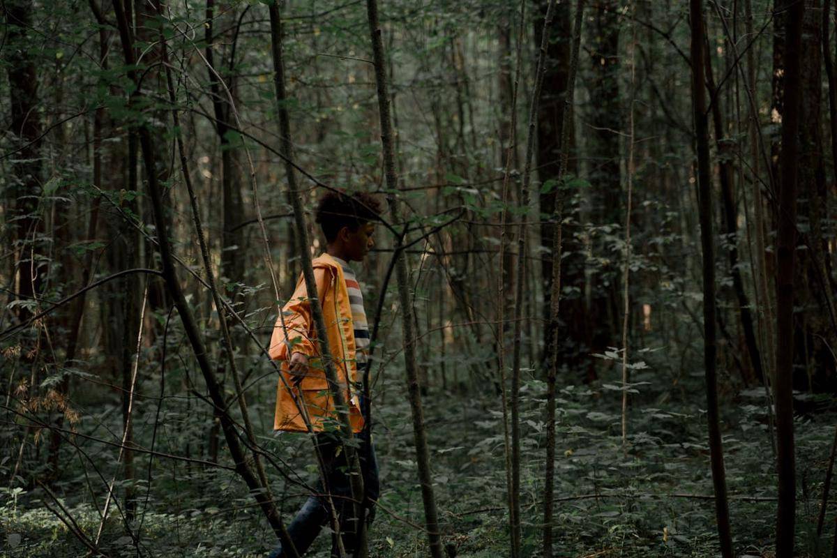 ilustrasi hutan hujan tropis (pexels.com/Ron Lach)