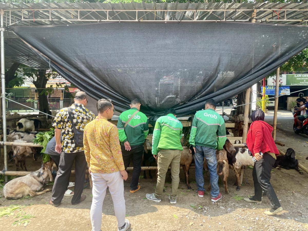 Mitra Pengemudi Grab aktif mendapat apresiasi berupa hewan kurban kambing dalam semarak Iduladha 1446 H (1).jpg