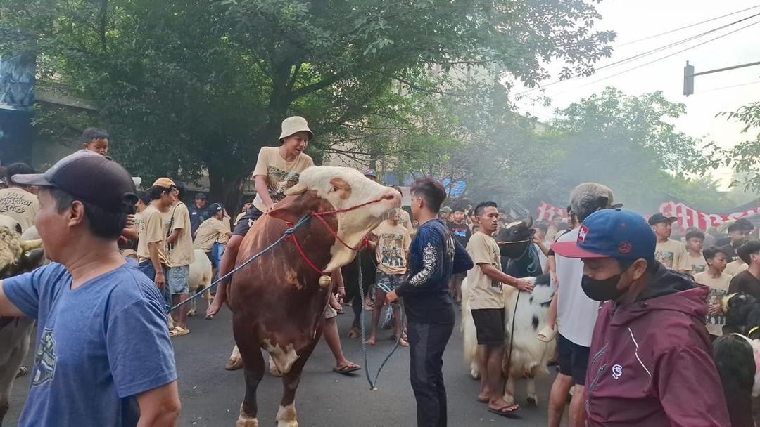 Hewan Kurban di Malang Diajak Berkeliling Kampung Sebelum Disembelih