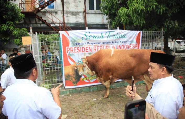 Sapi simental milik Presiden Prabowo Subianto yang disembelih di Masjid Dharma Wanita Baiturrahman Palembang, Sabtu (7/6/2025). Dok. Pemprov Sumsel.jpg