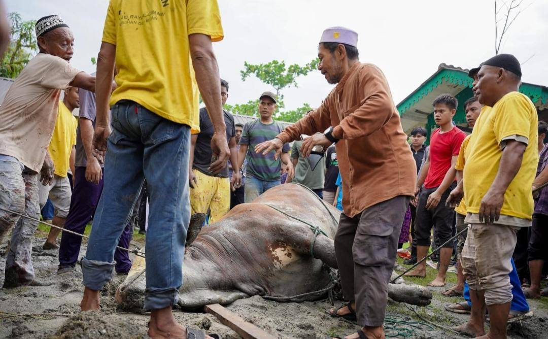 Masjid Agung Palembang Bagikan 3 Ribu Kupon Hewan Kurban ke 2 Kelurahan