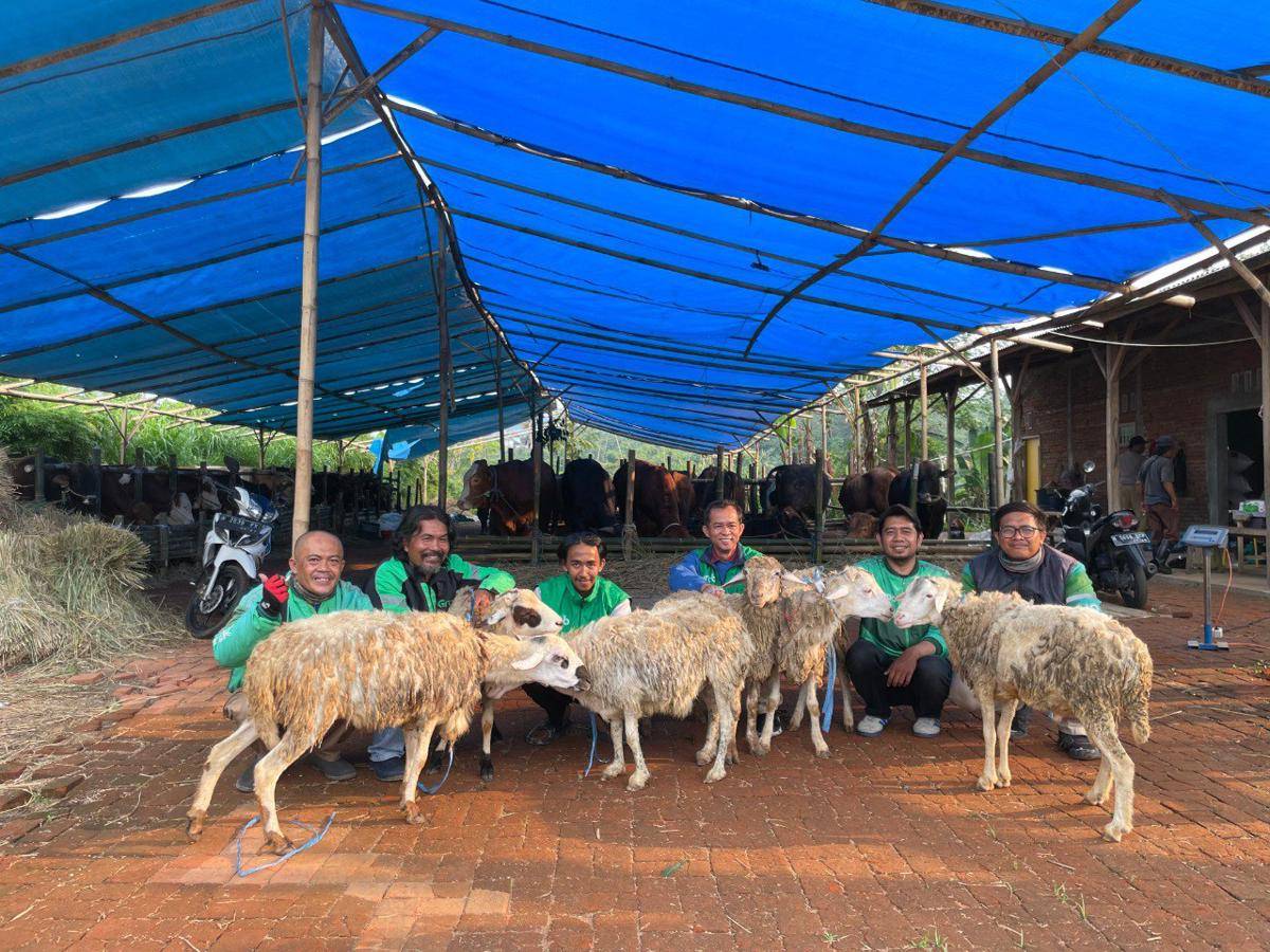 Wujud apresiasi berupa hewan kurban kambing diberikan kepada Mitra Pengemudi Grab aktif dalam semarak Iduladha 1446 Hijriyah. (dok. Grab)