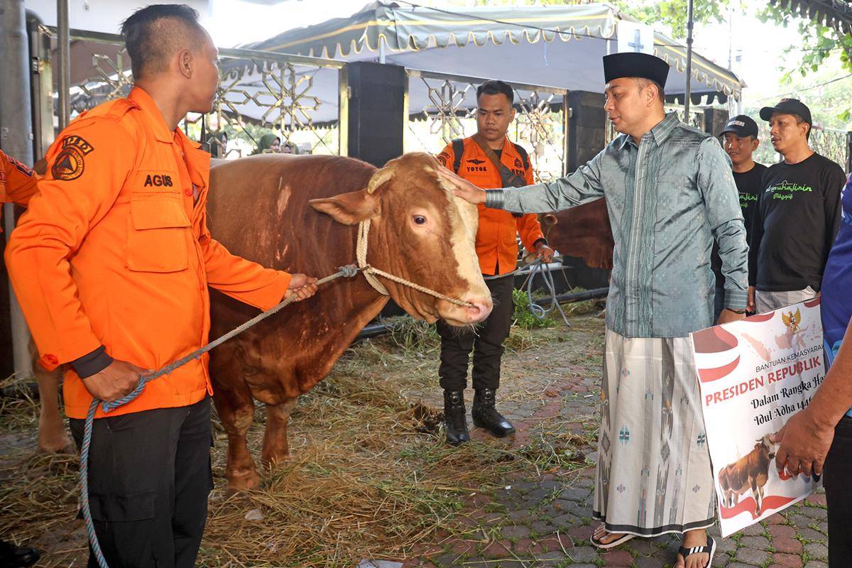 penyerahan sapi bantuan presiden (3).JPG
