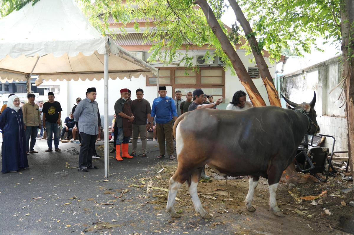 Pemkot Makassar Salurkan Daging Kurban untuk Pegawai dan Petugas Kebersihan