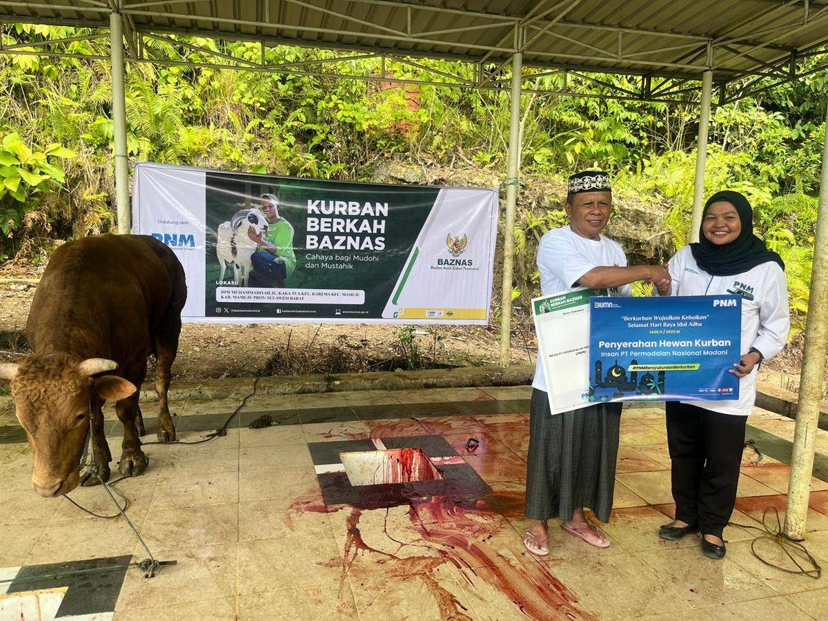 PNM dan BAZNAS Berkolaborasi Salurkan Hewan Kurban untuk Masyarakat 3T