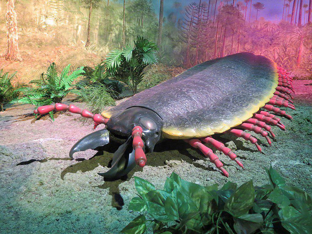 Restorasi arthropleura (commons.wikimedia.org/Luis Alvaz) 