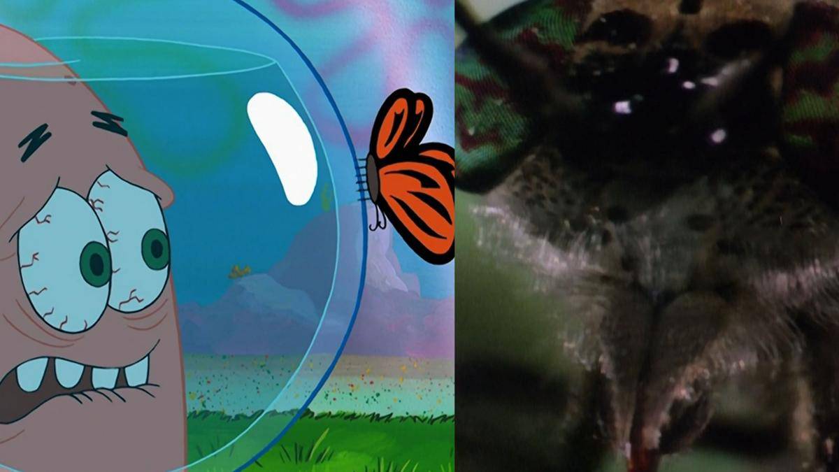 close up serangga menyeramkan di episode "Wormy" (dok. Nickelodeon/SpongeBob SquarePants)