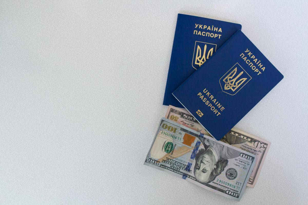 ilustrasi paspor dan uang (pexels.com/Borys Zaitsev)